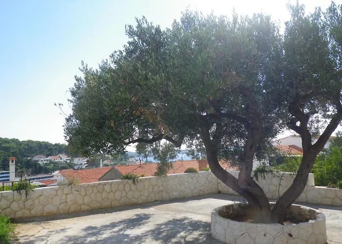 Casa de hóspedes And With Parking Space Hvar - 13296